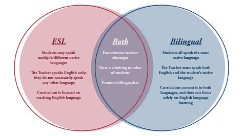 esl and bilingual education understanding the differences texas
