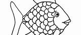 Scales Fish Coloring Pages Template Drawing sketch template