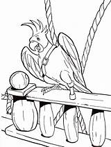 Parrot Papagei Ausmalbilder Printable Piratin Malvorlagen sketch template