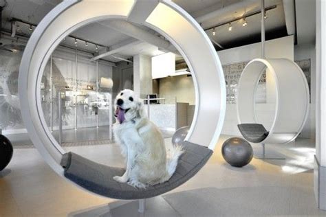 images  dog boutiques spas  pinterest pets grooming