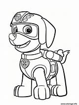 Zuma Patrouille Patrol Patrulla Patrolne Sape Canina Bojanke Imprimer Stampanje Decu Slike Skye K5worksheets Pups Supercoloriage sketch template