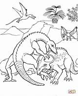 Pages Colorare Protoceratops Dinosaurier Kolorowanki Coloriage Pteranodon Battent Pteranodonte Ausmalbilder Fights Dinosaurs Plesiosaur Dinosauri Quereinsteiger Ausmalen Coloriages Protoc Pteranodons Druku sketch template