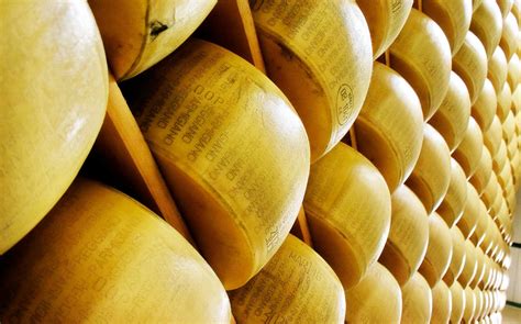 il parmigiano reggiano storia curiosita  tecnica  preparazione