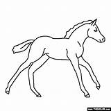 Horse Baby Coloring Pages Horses Pony Color Animals Drawing Clipart Thecolor Others Choose Board Babies Getdrawings Popular Ai sketch template