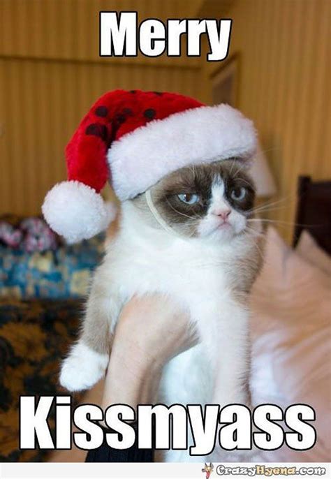 Merry Christmas By Grumpy Grumpy Cat Christmas Grumpy Cat Grumpy