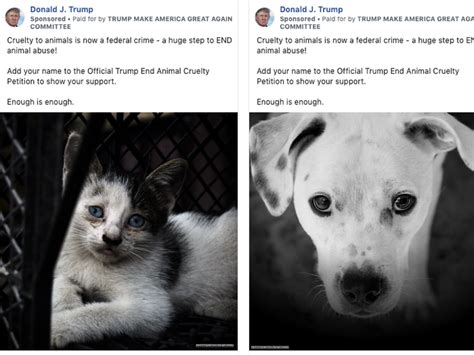 presidential candidates run   facebook ads  animal cruelty