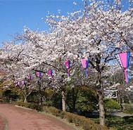 佐野桜 に対する画像結果.サイズ: 189 x 185。ソース: tochispo.com