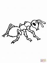 Ant Formica Hormigas Ameise Stitch Coloriage Realistica Imprimer Malvorlage Ameisen Ants Supercoloring Cicala Ausdrucken Connect Formiche sketch template