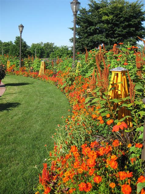 rotary botanical gardens hort blog dont neglect orange