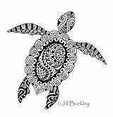 Zentangle Colouring Turtles Coloringpagesfortoddlers Tortugas sketch template