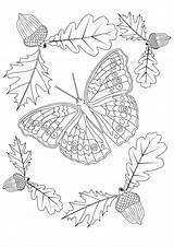 Coloring Butterfly Butterflies Autumn Kids Pages Garden Book Adult Print Color Emma Williams Insects sketch template