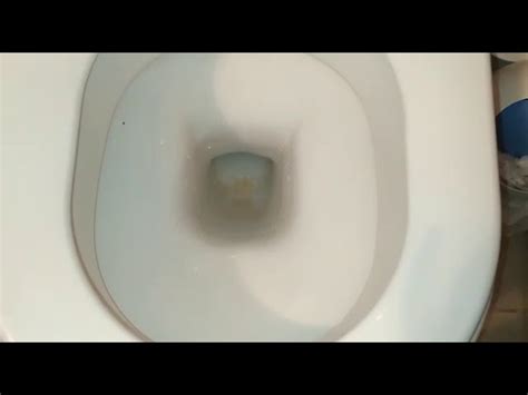 sararmis tuvalet tasi nasil temizlenir video