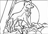 Wolf Coloring Pages Howling Wolves Moon Baby Print Grey Link Printable Color Minecraft Cute Getcolorings Theme Getdrawings Anime Book Colorings sketch template