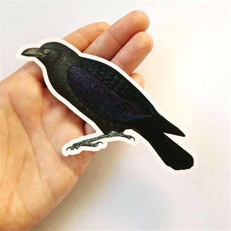 black crow sticker naturalistic vintage raven vinyl sticker etsy
