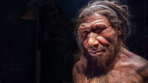 Here S What We Know Sex With Neanderthals Was Like Bbc Future