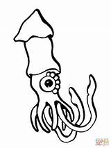 Squid Calamar Kalmar Riesenkalmar Kolorowanka Gemeiner Colossal Kolorowanki Supercoloring Pospolity Malvorlagen Koloss Druku sketch template