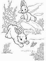 Coloring Pages Rabbit Farm Animals Wild Animal Printable Rabbits Ausmalbilder Kids Play Print Colouring Kaninchen Bunny Para Colorir Desenhos Animais sketch template