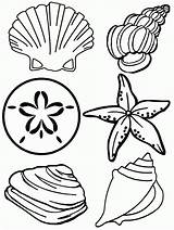Coloring Sea Pages Under Shells Seashells Summer Kids sketch template