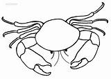 Mewarnai Krabbe Ausmalbilder Kepiting Hewan Laut Sketsa Crab Ausdrucken Krabben Crabs Malvorlagen Cool2bkids Kualitas sketch template