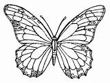 Kupu Template Mewarnai Blank Butterflies Monarch Kunjungi Getcolorings sketch template