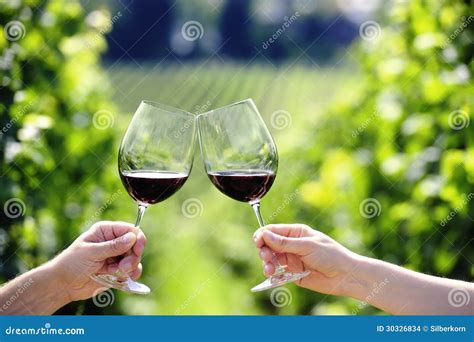 toasting with two glasses of red wine stock images image 30326834