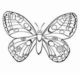 Coloring Pages Easy Butterfly Girls Teens Insect Printable Beautiful Colouring Cool Girl Motyle Color Kolorowania Google Butterflies Print Getcolorings Getdrawings sketch template