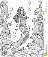 Colorare Mermaid Sirena Sea Vector Disegni Nuoto Sirene Sirenetta Bello Adulte Regardsdefemmes sketch template