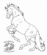 Rearing Lineart Horses Furry Hayvanlar Aufzucht Micron Ausmalbilder Bucking sketch template
