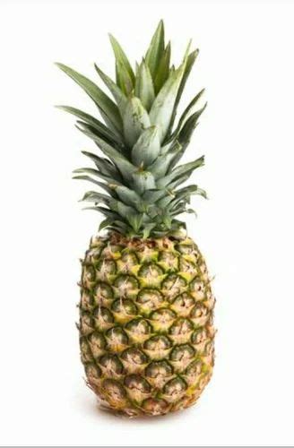 pineapple  delhi  ll latest price mandi rates  dealers  delhi