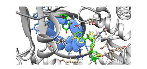 remdesivir monophosphate  bv yellow  molecular docking   scientific