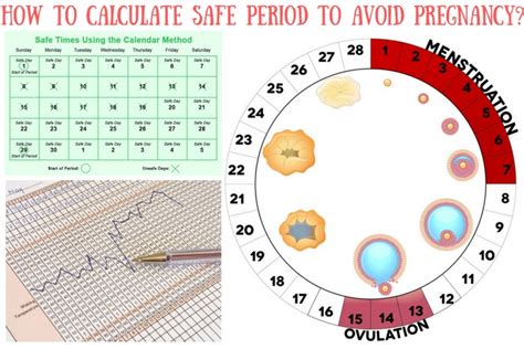 love and romantic how to calculate safe period to avoid pregnancy