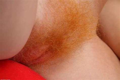 hairy redhead pussy close up porn pictures