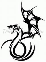Dragon Tribal Tattoo Designs Dragones Tattoos sketch template