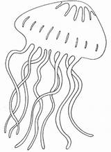 Jellyfish Qualle Ausmalbilder Mandala Ausdrucken Schablonen Giant Colorare Malvorlagen Zeichnen Quallen Drus Ausmalen Fensterbild Sommer Kostenlos Vorlagen Inselschule Plantillas Mrprintables sketch template