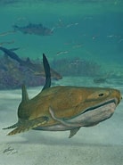 Image result for "antonogadus Megalokynodon". Size: 138 x 185. Source: www.science20.com