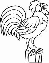 Gallo Coq Colorear Animali Disegno Gallito Stampare Uccelli Valiente Coloriages Sull Megghy Album Pagina sketch template