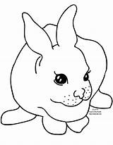 Rabbit Coloring Pages Clipart Bunny Printable Cute Rabbits Baby Template Outline Kids Color Bunnies Line Face Cliparts Craft Colouring Templates sketch template