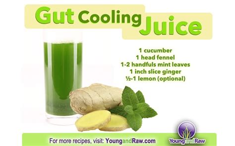 reduce inflammation  heal  gut   juice