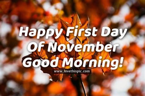 happy  day  november good morning pictures   images