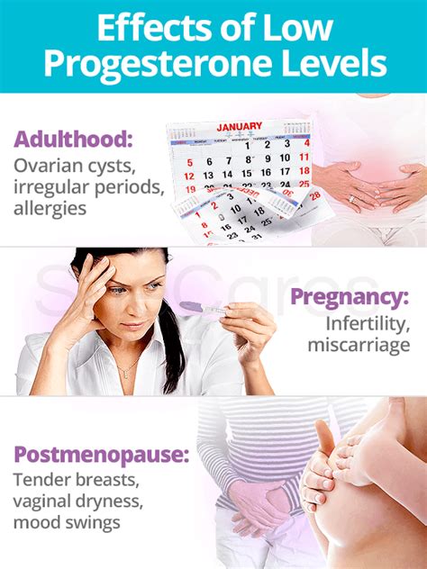 progesterone levels shecares