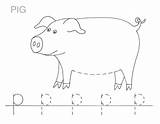Pig Letter sketch template