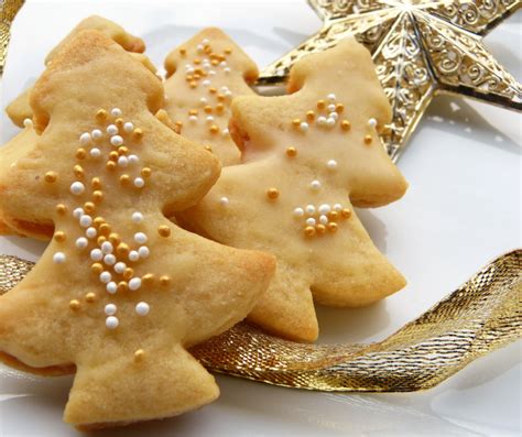 fodmap protein lebkuchen german christmas cookies