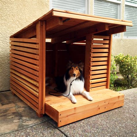 luxury dog houses   modern pup colorado homes lifestyles