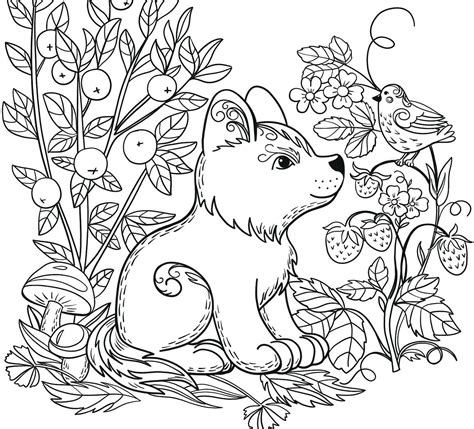 animal coloring page printable  wild forest animals page adult
