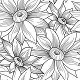 Pattern Flower Floral Seamless Vector Background Swirl Sunflower Vecteezy sketch template