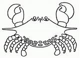 Coloring Crab Sheet Marine Animals sketch template