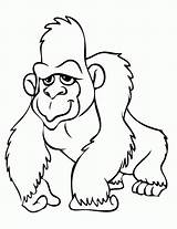 Gorilla Gorilas Orangutan Gorila Gorillas Gorillaz Coloringbay Clipartmag Godzilla Letzte Family sketch template