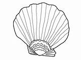 Coloring Seashell Sea Shells Pages Shell Printable Seashells Beach Grass Kids Drawing Color Colouring Oyster Print Template Drawings Clipart Getdrawings sketch template