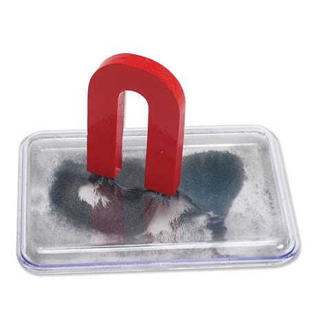 magnet case  iron filings  small hands