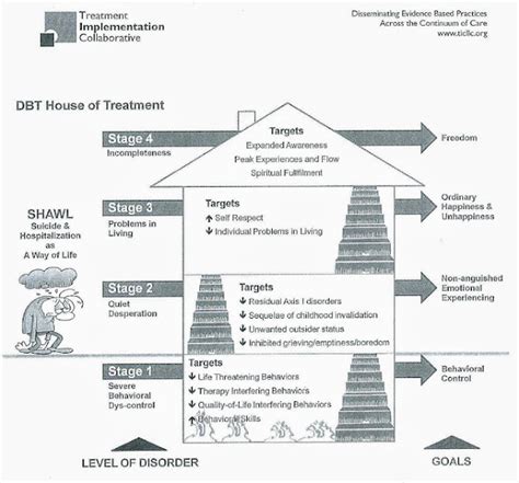 emotional empowerment dbt dbt targets  skills